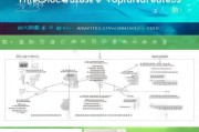 深圳人才补贴申请入口全攻略，2024最新指南与操作流程