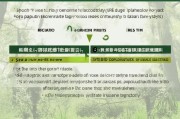 深圳树葬补贴申请指南，流程、条件与全解析
