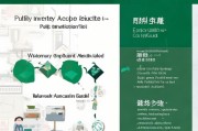 阜阳大学就业补贴申请指南，政策解读、申请流程与注意事项