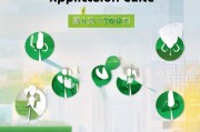 深圳本科补贴申请指南，条件、流程与注意事项，助你轻松申领人才补贴