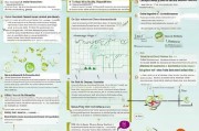 独生子女补贴申请全攻略，政策解读、条件流程与注意事项