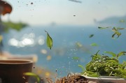 青岛茶香飘海城，小茶叶撬动大市场，这些获客秘籍你一定要知道！