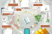 专利申请的全面指南，从起点到终点的流程图解析