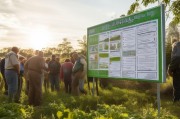 脐橙种植区拆迁补贴申请指南，政策解读、流程与权益保障