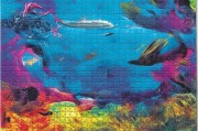 海洋伙伴拼图，开启海洋探索的新篇章