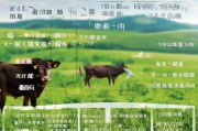 山西养牛补贴申请全攻略，政策解读、条件流程与注意事项