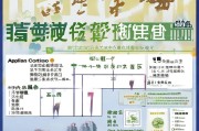 厦门租房补贴申请全攻略，条件、流程与注意事项