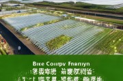 关于XX县绿丰蔬菜种植专业合作社标准化蔬菜种植基地建设补贴资金的申请报告