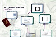 巴基斯坦电子签证申请全攻略，从准备到成功提交的每一步