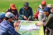 荔浦农资补贴申请指南，政策红利直达田间，助力农户稳产增收