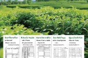 茶油树补贴申请全攻略，从政策解读到实操步骤，助您轻松申领