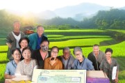 临川早稻补贴申请指南，政策解读与实操流程