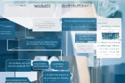 建筑企业待业补贴申请指南，政策解读、流程与应对策略