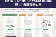 重庆特种作业补贴申请全攻略，政策解读、流程指南与注意事项