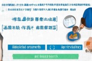 南京面试补贴申请指南，政策解读与操作全攻略