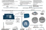 户口注销补贴申请全指南，政策解读、流程详解与注意事项