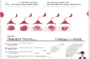 韩国公民申请中国签证的详细流程指南
