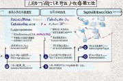 江苏盐城社保补贴申请全攻略，条件、流程、材料及注意事项