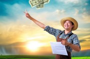 农民申请资金补贴，政策红利直达田间，乡村振兴注入新动能