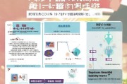 龙华区抗疫补贴申请指南，政策解读、流程详解与注意事项