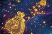 星星钱袋申请全攻略，从准备到成功，每一步都算数