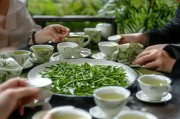 文新毛尖如何精准获客？揭秘茶叶品牌营销的高端突围策略