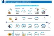 职业技能补贴申请全攻略，从条件到流程，助你轻松申领
