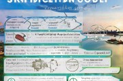 澳洲留学申请全流程详解，从选校到签证的每一步