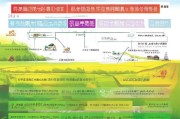 下乡补贴申请全指南，流程、条件与注意事项，助你顺利申领