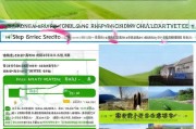 平度家庭农场补贴申请全攻略，政策解读、流程指南与成功案例