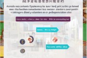 贵州就业补贴申请全攻略，条件、流程、材料一文读懂
