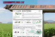 潍坊农村冻害补贴申请指南，政策解读、流程详解与注意事项