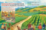 激活土地潜力，赋能乡村振兴，乡村复耕补贴申请全解析