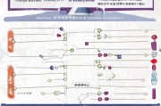 重庆产检补贴申请指南，条件、流程、材料全解析