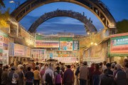 大桥街道农机补贴申请指南，政策红利惠及农户，助力农业现代化