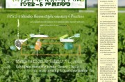 大豆粮种补贴申请政策解读与全流程指南