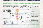 天津就业补贴申请条件详解，政策覆盖人群、申请流程与注意事项