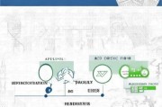 香港公司补贴申请全攻略，从政策解读到成功获批的实用指南