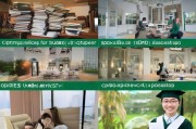 新加坡管理学院（SMU）申请全攻略，从准备到录取的每一步