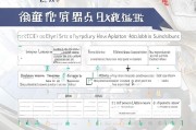 衡水市防疫补贴申请全攻略，条件、流程、材料一文读懂