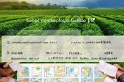 油茶种植补贴申请全攻略，从政策解读到资金到手