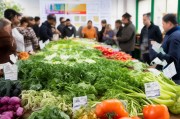 蔬菜品种审定补贴申请，政策赋能与实操指南