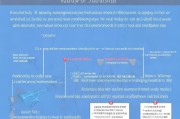 伤残就业补贴申请全指南，流程、条件与注意事项