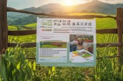 东平县惠农补贴申请指南，政策红利直达田间，助农增收暖民心