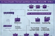 高碑店市应急物资补贴申请指南，政策解读与办理全流程
