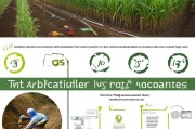 大棚甘蔗挖沟补贴申请指南，政策解读与操作流程
