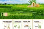 临安粮食种植补贴申请指南，政策解读、流程详解与注意事项