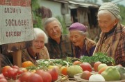 农村社保，保障农村生活的‘硬骨头’