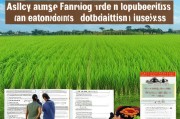 水稻轮作补贴申请全攻略，政策解读、流程指南与实操要点