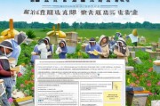 丰都养蜂补贴申请指南，政策红利助蜂农增收